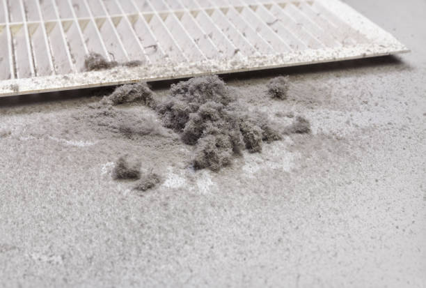 Best Local Air Duct Cleaning Services  in Bridgeport, IL