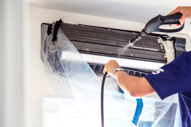 Best Air Vent Cleaning Services  in Bridgeport, IL