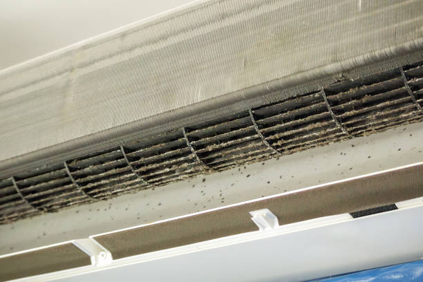 Best Air Duct Cleaning Near Me  in Bridgeport, IL