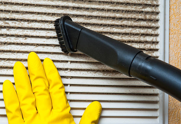 Best Affordable Air Duct Cleaning  in Bridgeport, IL
